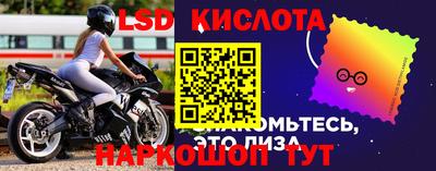 стаф Кулебаки
