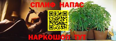 стаф Кулебаки